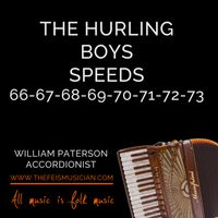 The Hurling Boys by William Paterson