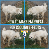 Make'em Sweat (For Cooling Effects) by WooFPLay Band