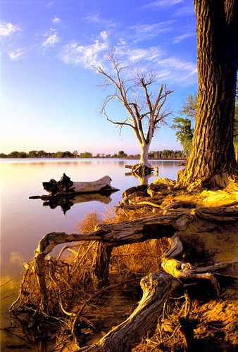 Holbrook Lake
