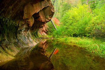 Oak Creek Canyon
