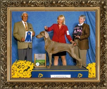 GCH NORTHWOODS SEND MONEY HONEY Owner:Heidi Warren & T J Palmer & Phillip Warren Breeder:Christie Majors & Heidi Warren Judge: Mr. Charles E. Trotter
