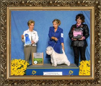 GCH SKYEHIGH'S MKC BONAPARTE Owenr:Lindy Barrow Breeder: Lindy Barrow & Jaimi Glodek Judge:Ms. Marjorie J. Underwood
