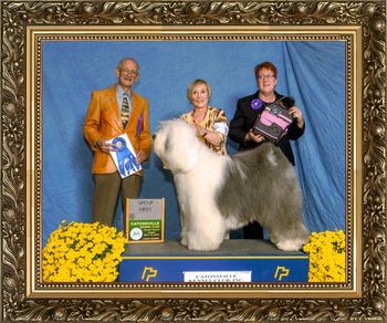 GCH WHISPERWOOD'S WILD HORSE Owner: Joyce Wetzler & Karen Burdash Breeder: Joyce Wetzler & Linda Ruelle Judge: Mr. Frank L. McCartha
