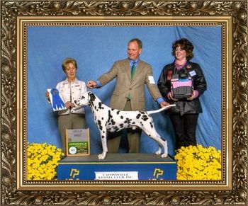 GCH SPOTLIGHTS RUFFIAN Owner:Jim Lyons & Barbara Lyons Breeder:Connie Wagner Judge: Ms. Marjorie J. Underwood
