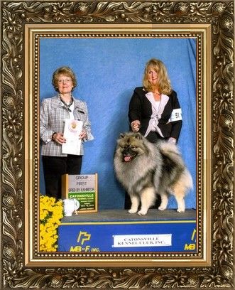 TRUMPET'S GOOD TIMES ROLL Owner:Barry Wudel & Lori Wudel & Beth Blankenship Breeder:Beth Blankenship Judge:
