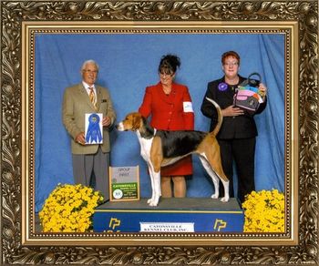 CH KIARRY'S PANDORA'S BOX Owner:Ellen M Charles & Lisa Miller Breeder:Harry & Lisa Miller Judge:Mr. Charles E. Trotter
