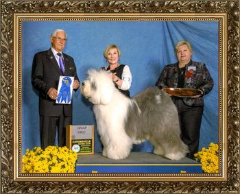 GCH Whisperwood's Wild Horse
Owner: Joyce Wetzler & Karen Burdash
Breeder: Joyce Wetzler & Linda Ruelle
