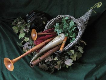 MacK's Cornucopia, with Goodacre Leicester Smallpipes and Gemshorn
