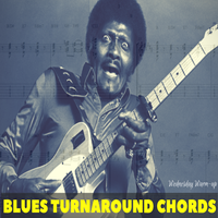 Warming up with...BLUES TURNAROUND CHORDS by Quist