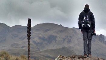 Andes nat'l park, Ecuador
