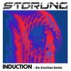 Störung  - Induction (CD)