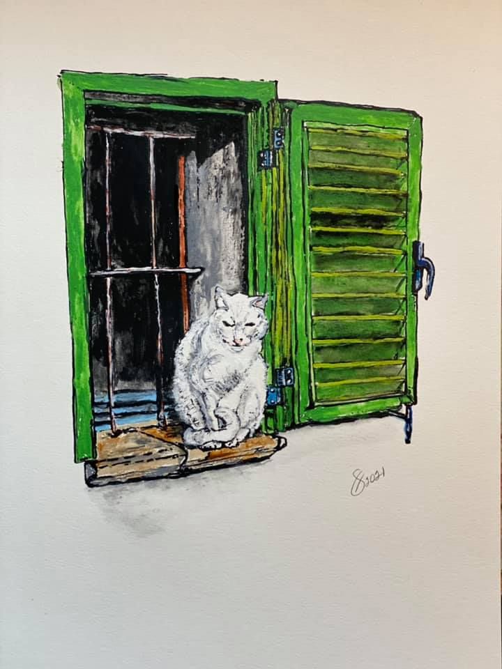 White Cat with Green Shutters  11" x 15"  Ink/Acrylic on Watercolor Paper   $150.00