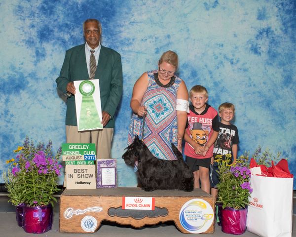 Taylor winning Best In Show BBE at Greeley in Aug 2017.