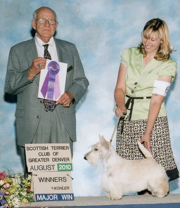 Krissy showing her girl Peyton at the Scottish Terrier Club of Greater Denver Specialty
