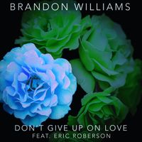 Don't Give Up On Love (feat. Eric Roberson) by Brandon Williams