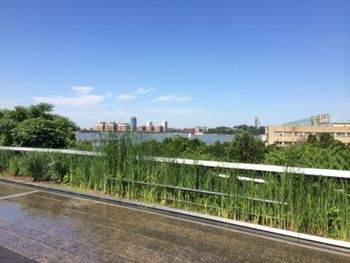 Beautiful High Line Park view
