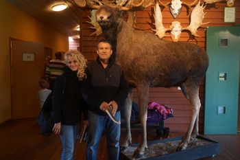 Moose Museum
