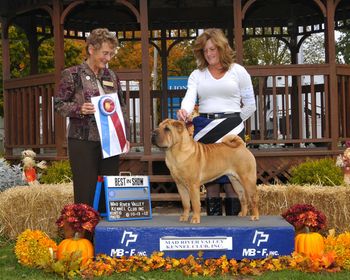 Tinsel taking her first Best In Show
