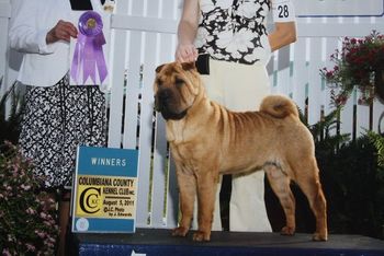 Tinsel winning a major at Canfield Ohio 2011
