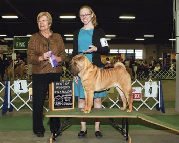 Miller 8 months of age
Finishing his Championship in 1 weekend at Louisville, KY
