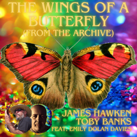 The Wings of a Butterfly (From the Archive) by James Hawken, Toby Banks