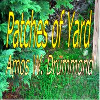 Patches of Yard by Amos W. Drummond