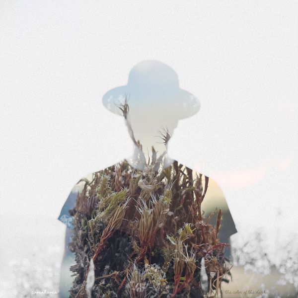 the　COVES No Side CD　アルバム the COVES No Side CD アルバム