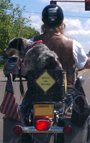 She's a Harley Girl, too, I guess....
