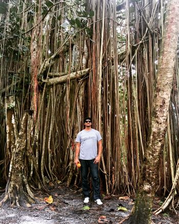 Banyans & wild sour oranges ; FLorida photo by Drew Keys
