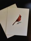Holiday Card from Chris