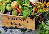 Tofino Farmer's Market