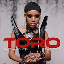 Toro (feat. DDG) - Sho Madjozi
