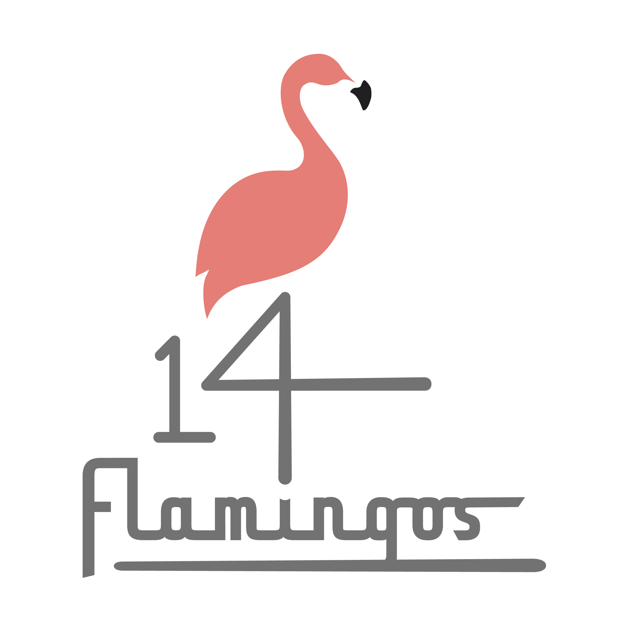 14 flamingos