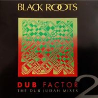 Dub Factor 2 - The Dub Judah Mixes by Black Roots