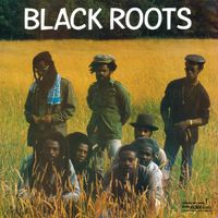 Black Roots by Black Roots
