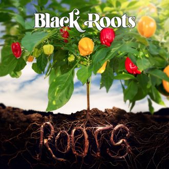 Black Roots - Discography