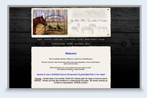 Gurtler 3D Quarter Horses