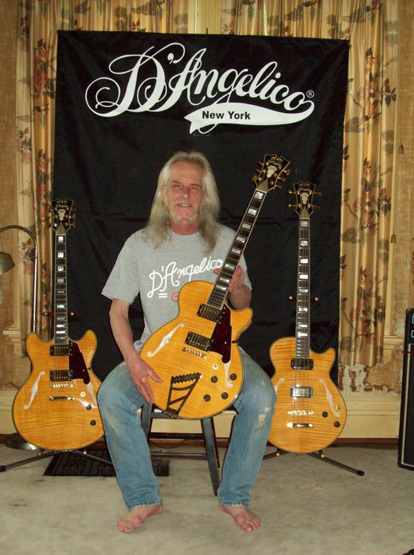 D'Angelico Guitars - Acoustics & Electrics 
email for details.