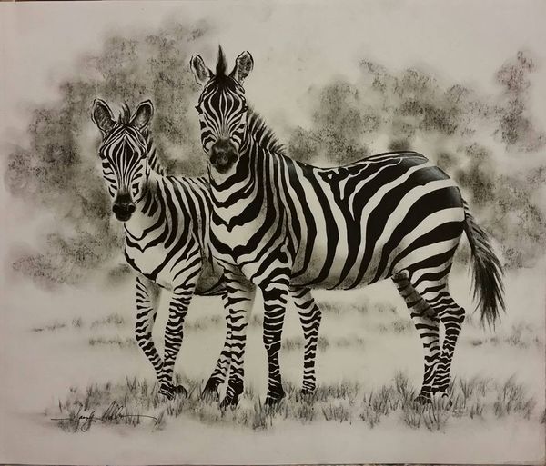 Zebra Duo