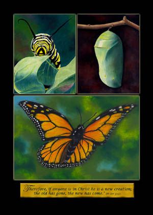 Metamorphosis Collage