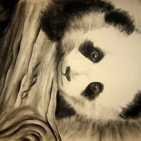 Panda Baby Face