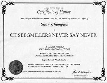 Seegmillers Never Say Never a NEW CHAMPION
