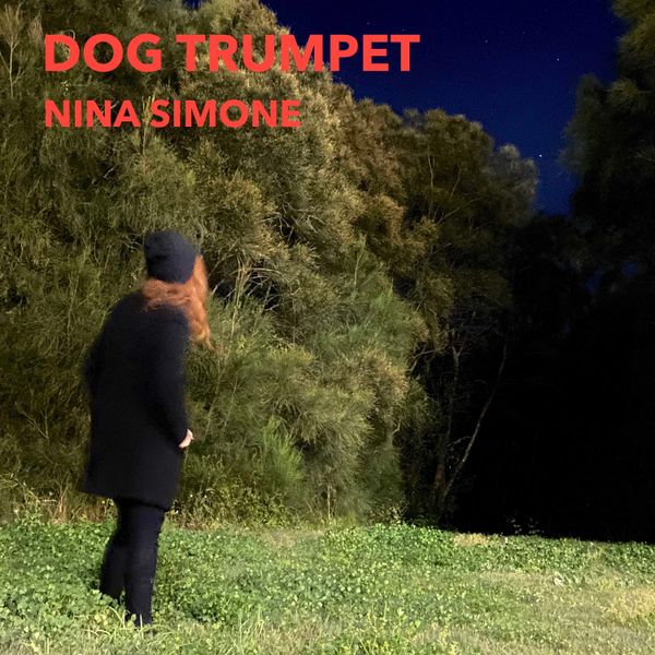 New Single from the forthcoming album Shadowland released 4th November 2022
https://dogtrumpet.lnk.to/NinaSimone