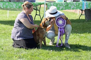 Tikka - 1.5 years - RBCSWO - Reserve Best in Show
