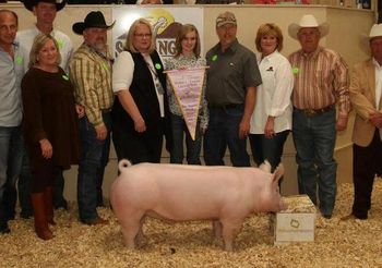 Reserve Grand Overall @ San Angelo Livestock Show and Rodeo
