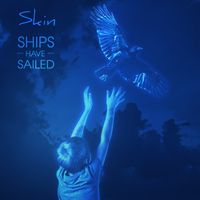 Skin by Ships Have Sailed