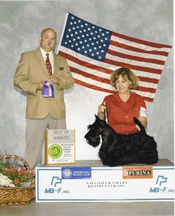 Prince goes Best of Winners in July 2010 at the Naugatuck Valley Show
