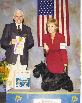 It was quite an honor to win under esteemed Judge Fred Ferris. Fred was a Scottie breeder and handler for many years prior to becoming a Judge.
