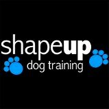 Shape Up or Ship Out!