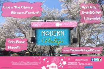 Cherry Blossom FEST!- April 2016
